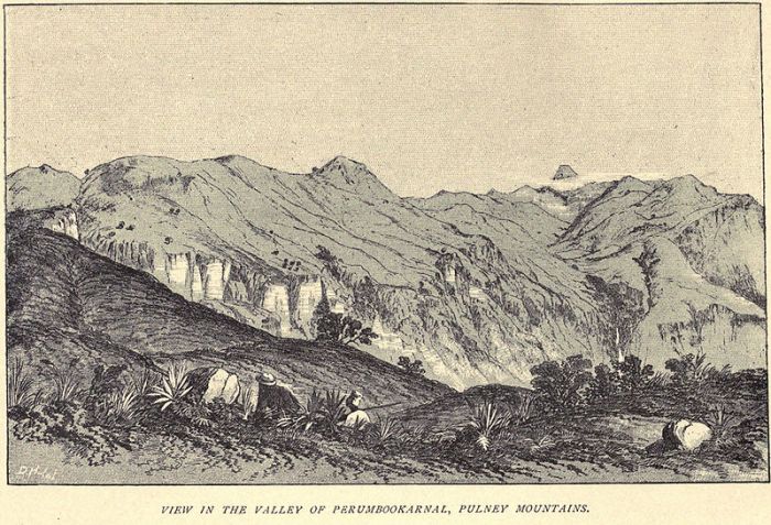 Douglas Hamilton's sketch of the same area. Done in the mid 19th Century and published in his posthumous 1892 book A Record of Sport in Southern India.