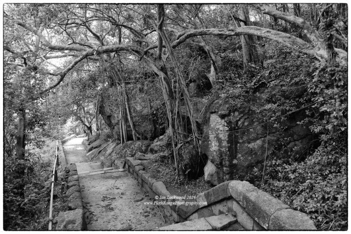Steps amidst dry evergreen forest at Thiriyai. This is a sublime, little visited Buddhist sanctuary with interesting historical links to the Tamil communities  that live in the area.