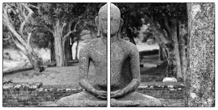 Seated Buddha amidst forest and gardens at Medirigiriya.
