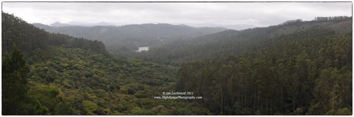The classic tourist view: looking west over Berijam Lake from the fire tower view point. In this image, the arm of Mathikettan Shola is clearly distinguishable from the uniform, tall eucalyptus plantation (extreme left and right). These trees were planted on montane grasslands in the 1960s and 70s in a program to increase biomass for fuel and tanning purposes. With the exiting Landsat imagery it is difficult to distinguish shola patches from such evergreen plantations. This makes accurate classification at this sale challenging. In the future, as the resolution of the satellite imagery improves, remotely sensed multi-spectral imagery should be able to make this distinction.