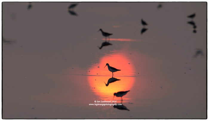 Sunrise at Vankalai Bird Sanctuary (January 2016)